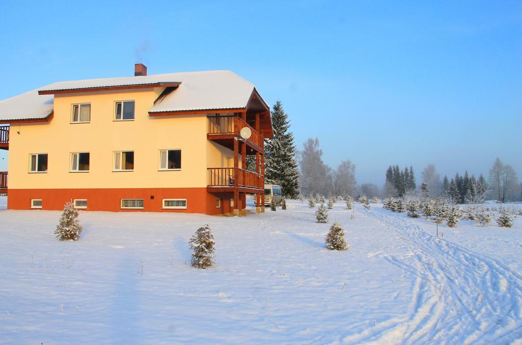 Karumetsa Apartment Otepaa Bagian luar foto